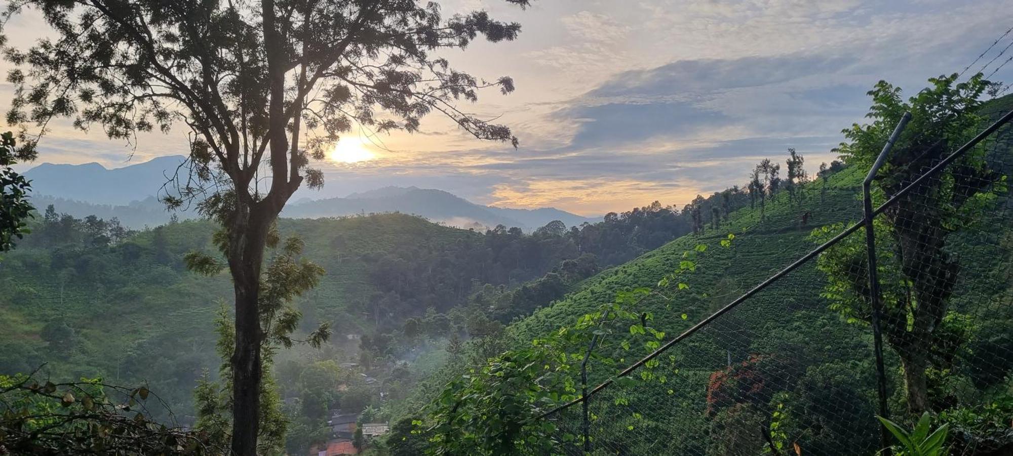 Sithara Estate Bungalow Ella Buitenkant foto