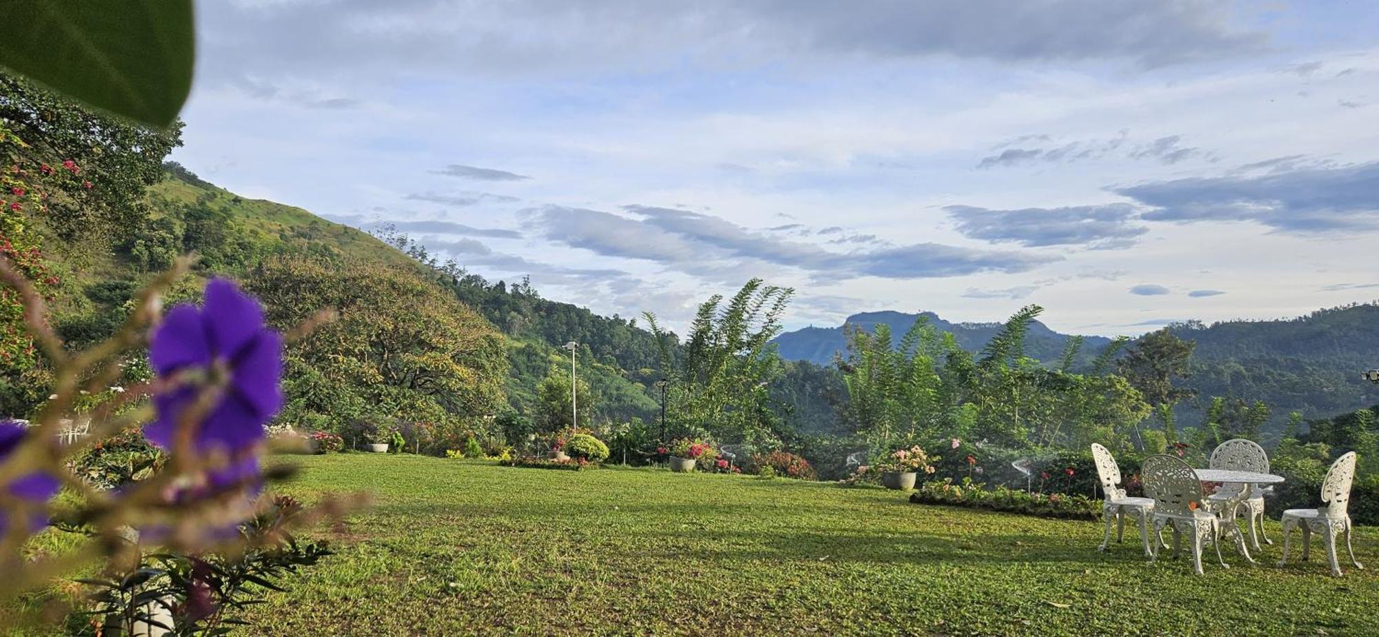 Sithara Estate Bungalow Ella Buitenkant foto