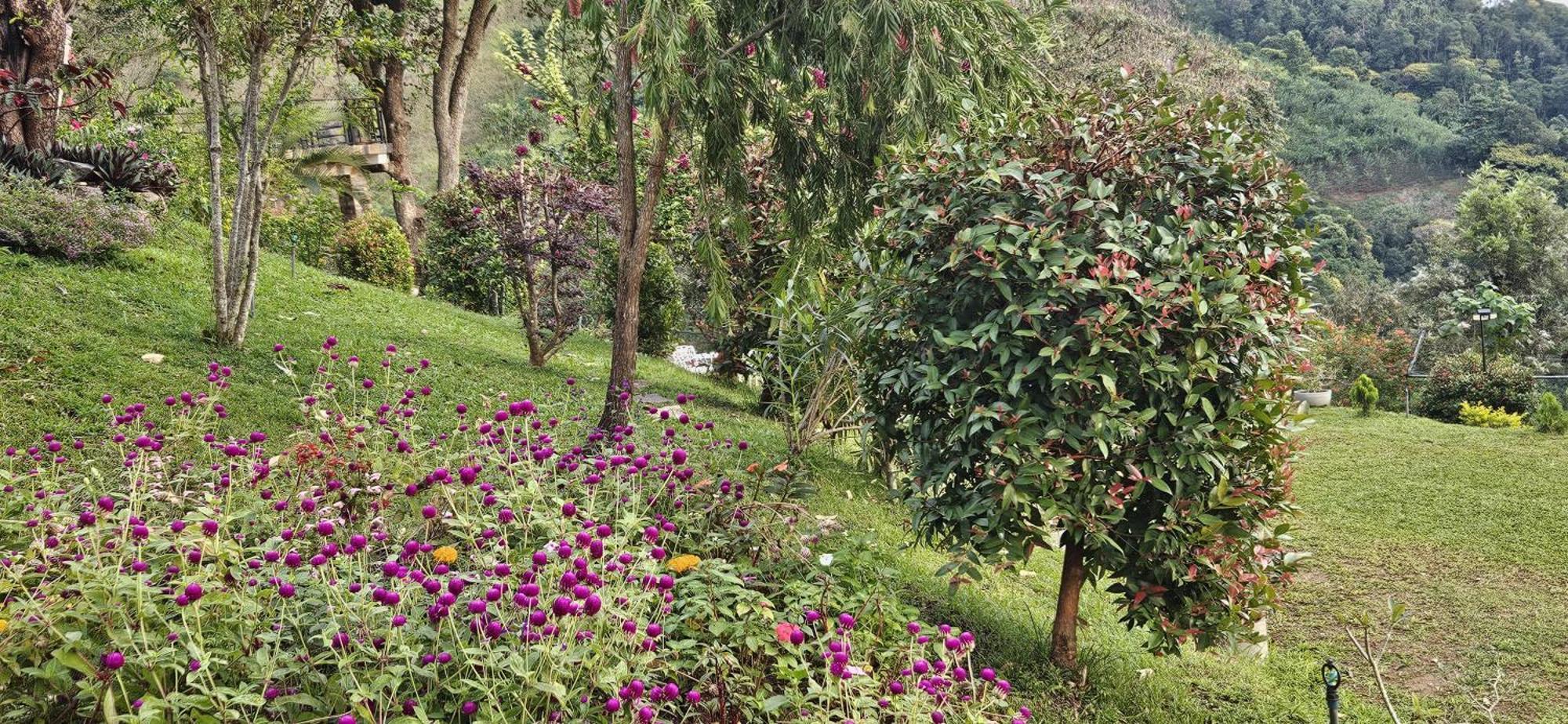 Sithara Estate Bungalow Ella Buitenkant foto