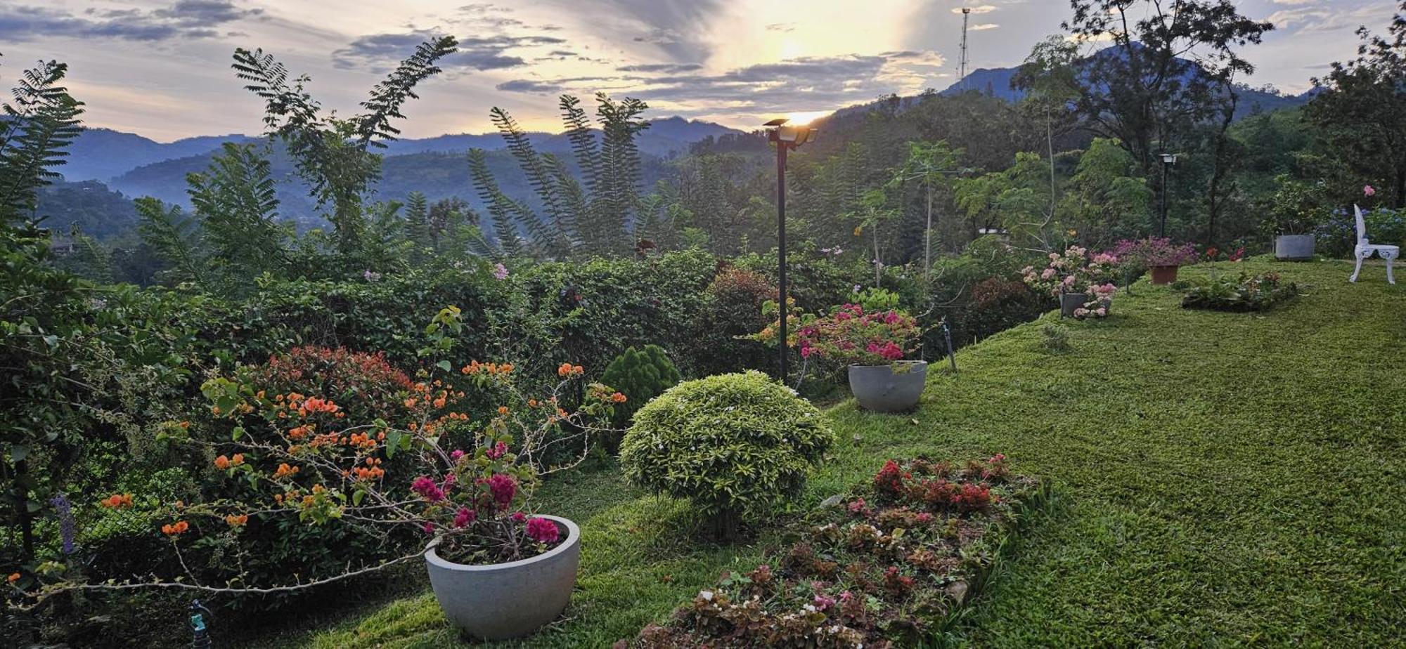 Sithara Estate Bungalow Ella Buitenkant foto