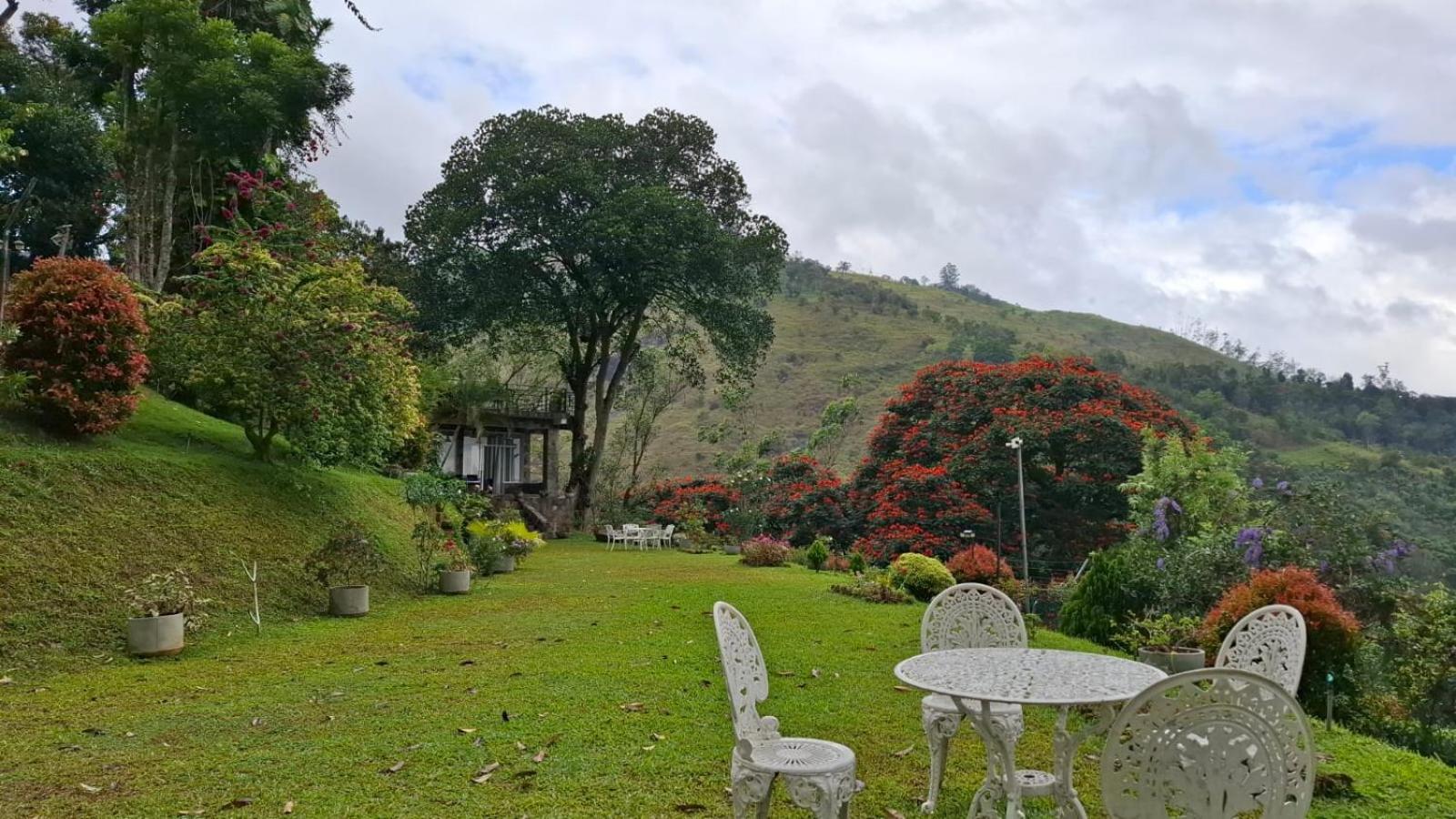 Sithara Estate Bungalow Ella Buitenkant foto