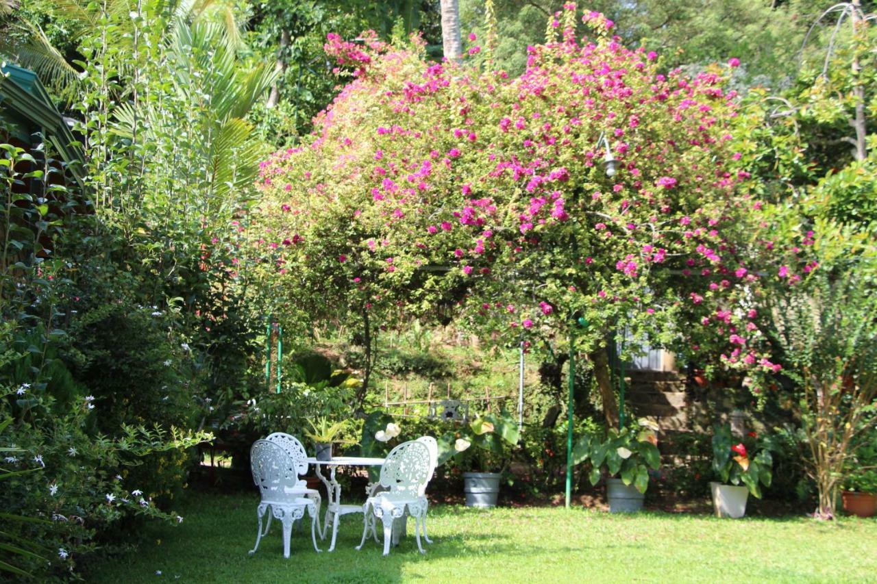 Sithara Estate Bungalow Ella Buitenkant foto